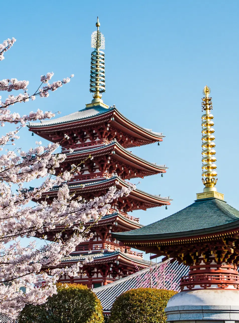Oferta - Szkolenie wyjazdowe ODZ: Japonia - w krainie gejsz i samurajów